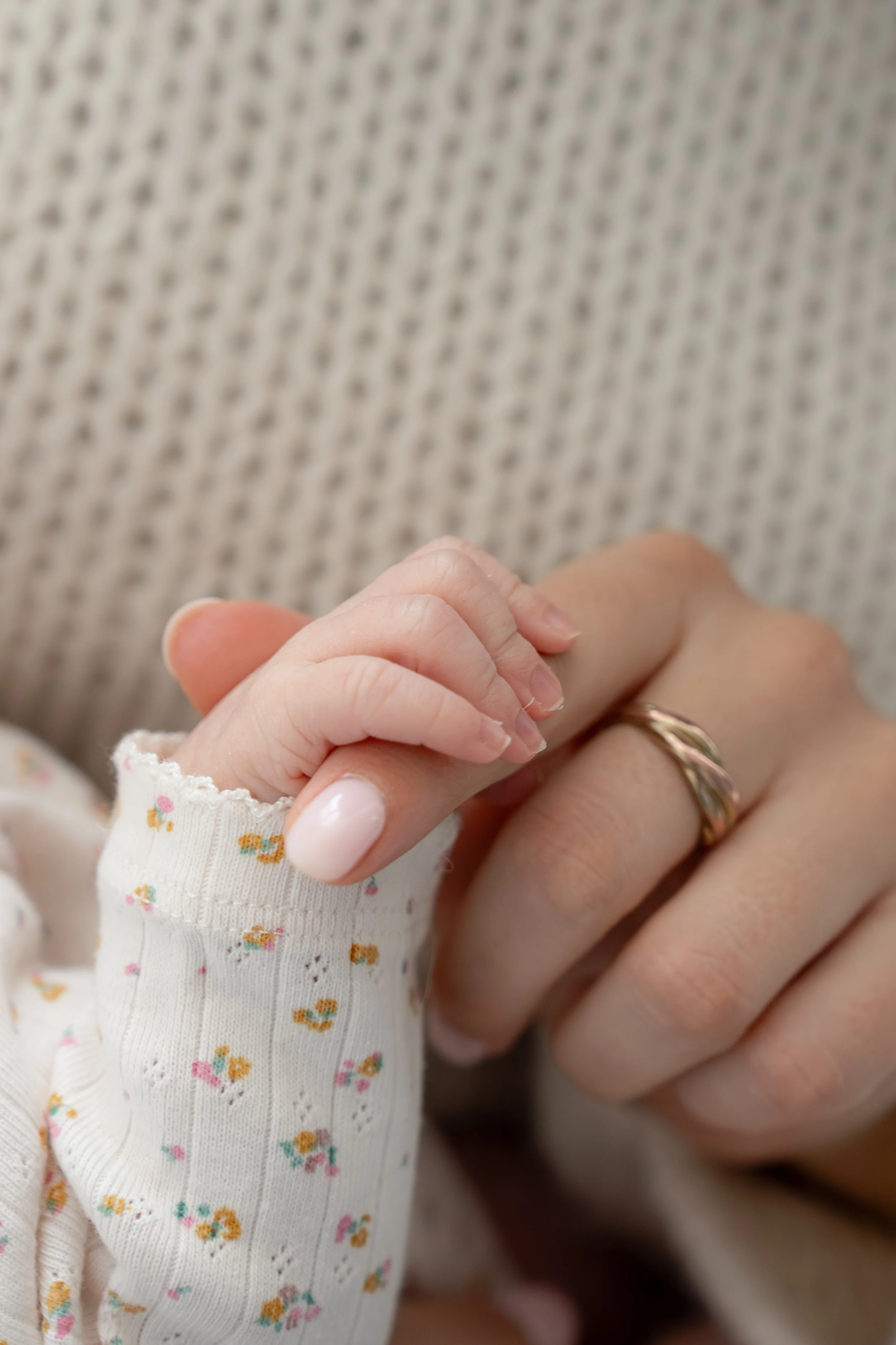 Palmer Lou Hauck March 2026-41.jpg