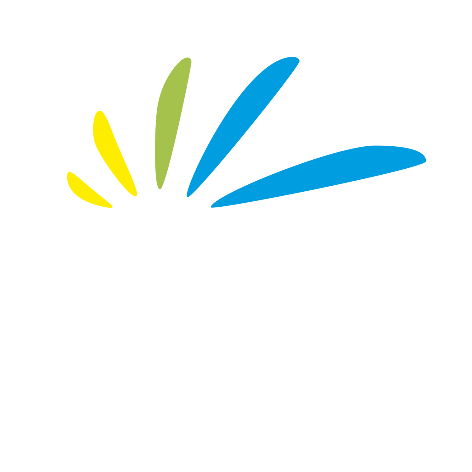 Bridge Valley