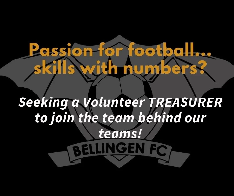 Seeking a treasurer to join Bello FC committee