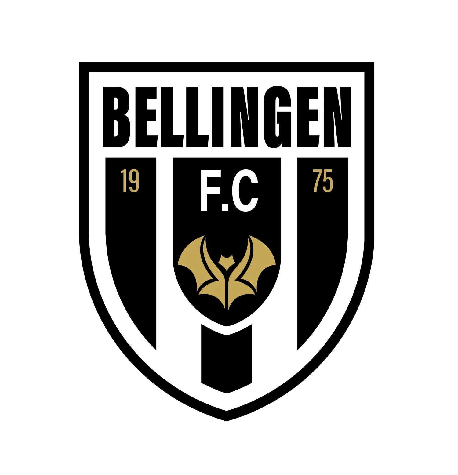 BELLINGEN FC