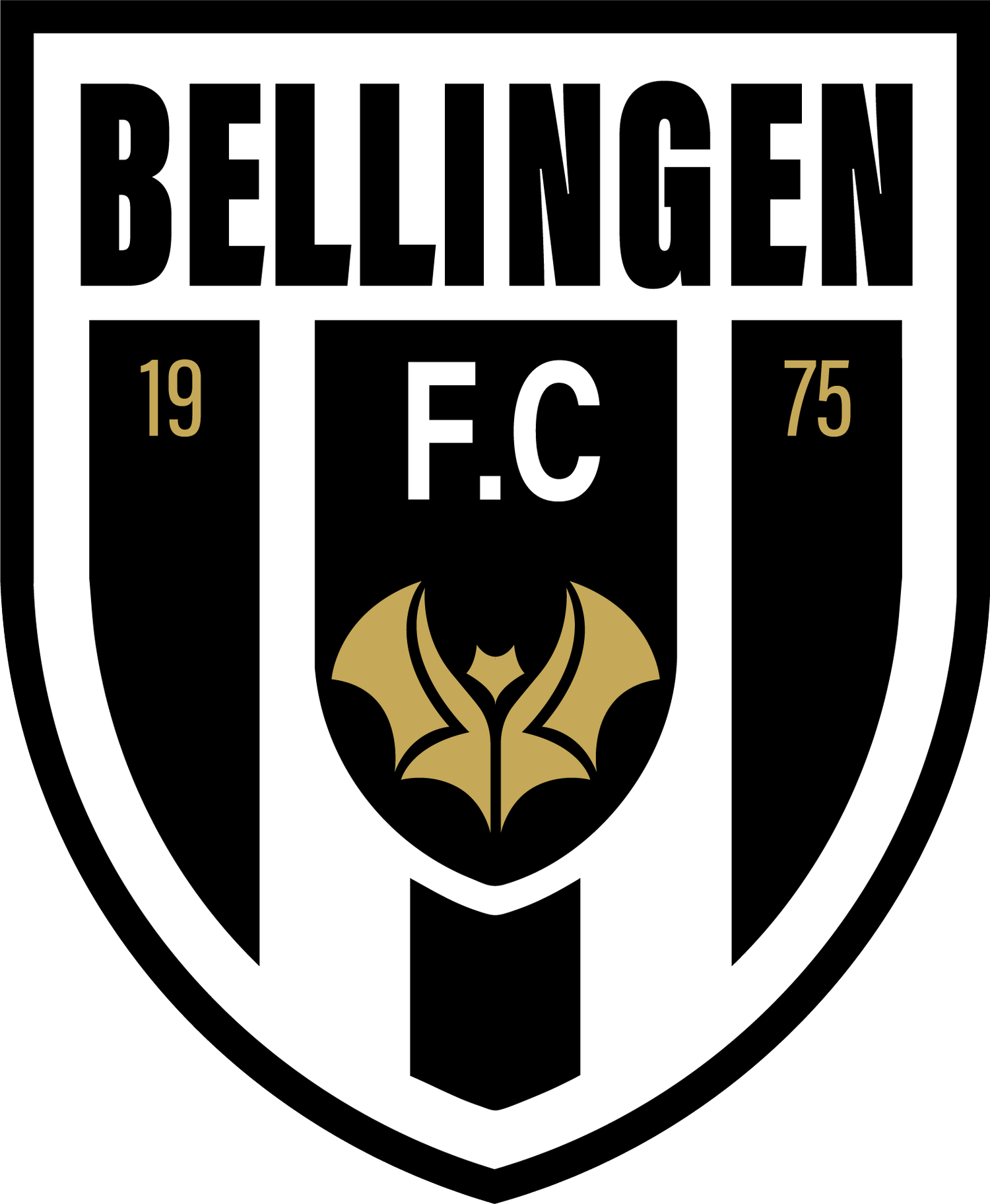 BELLINGEN FC