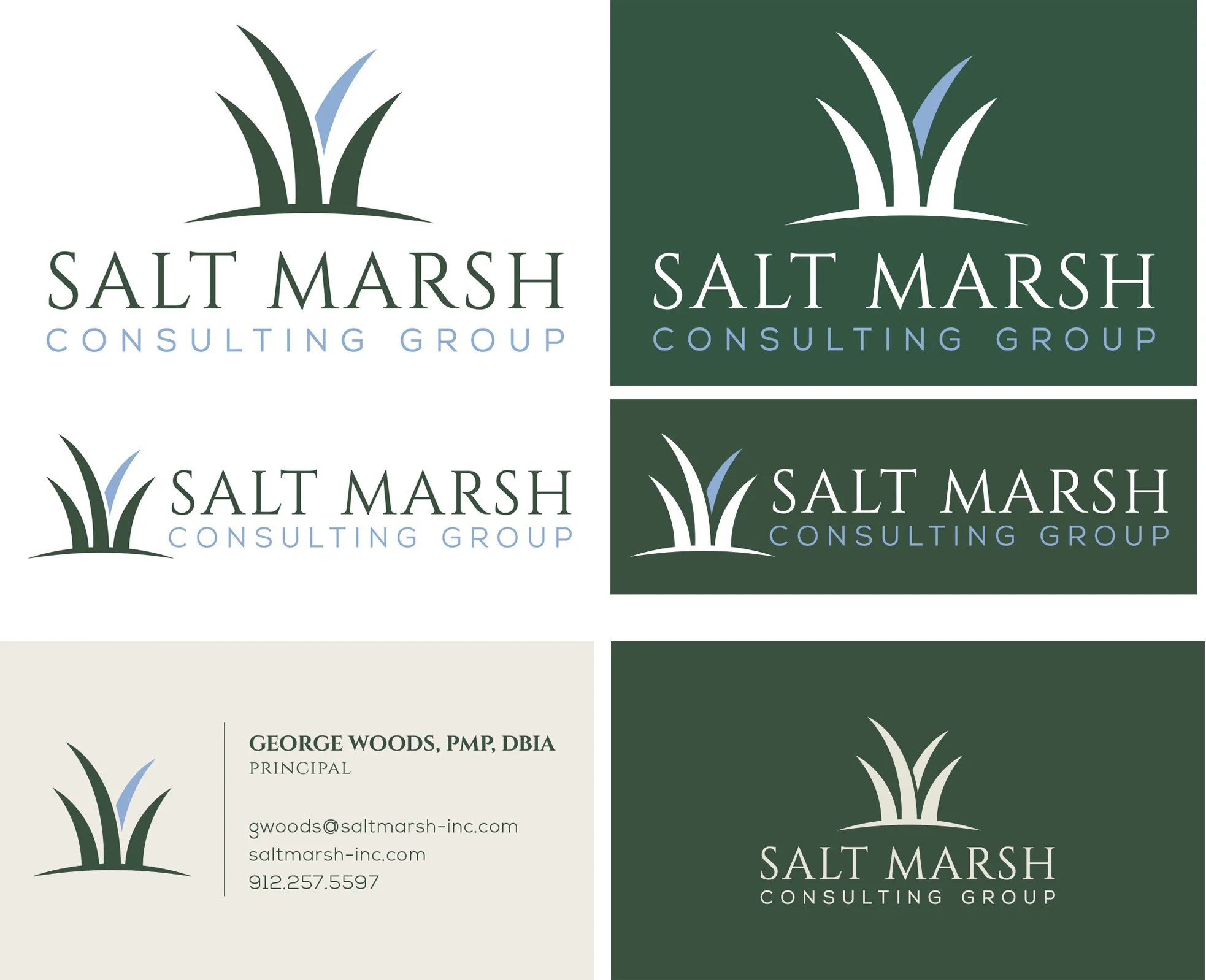 salt marsh consulting