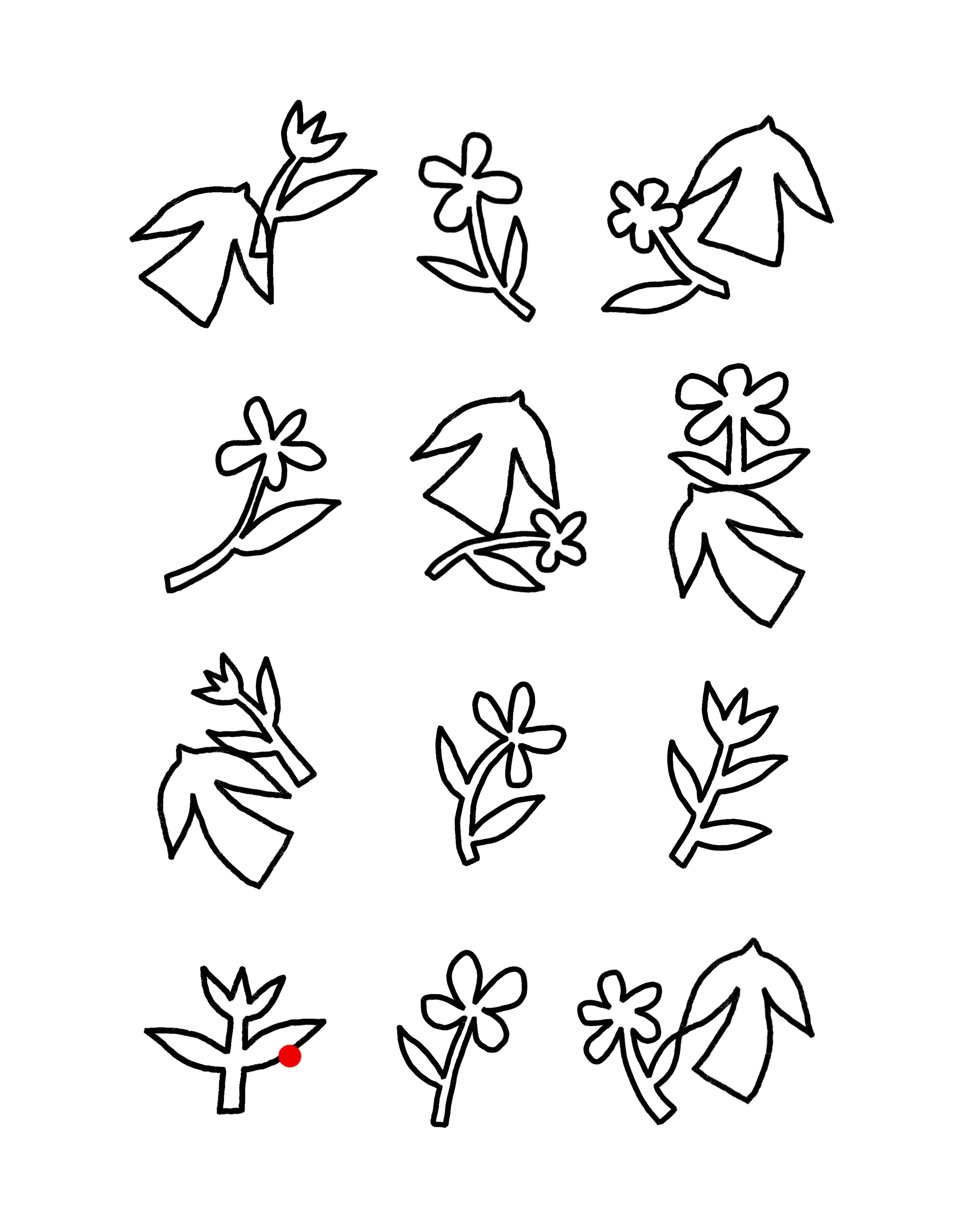 IMG_1906.png