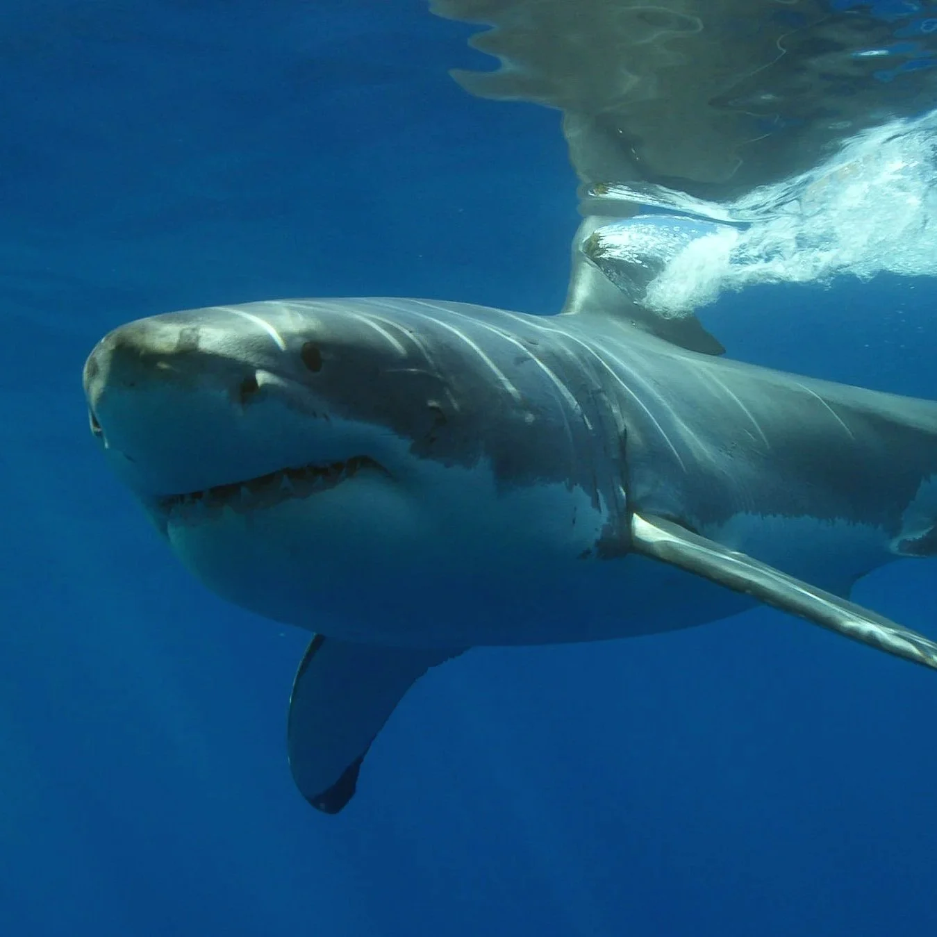 Noticing 3 Good Things in Nature