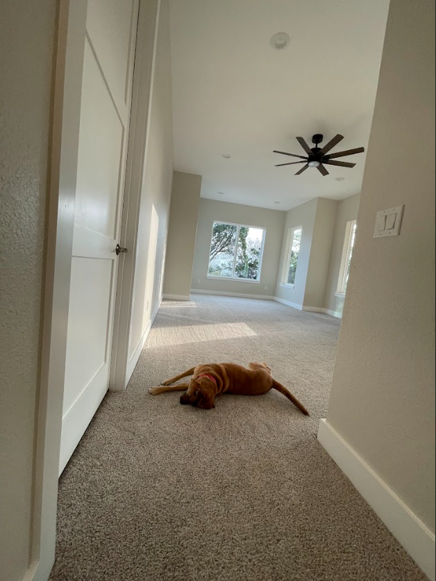 Screenshot 2026-02-28 122903.png