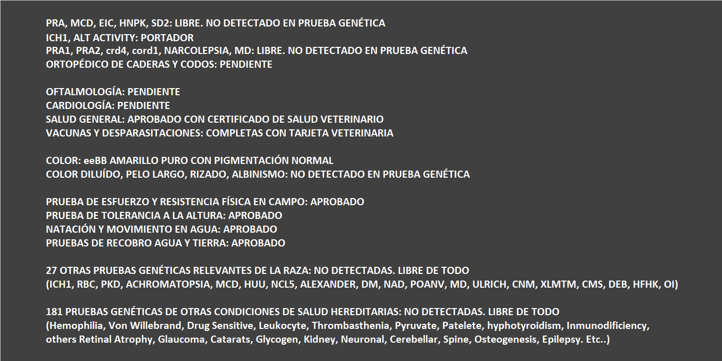 MILO_genética.png