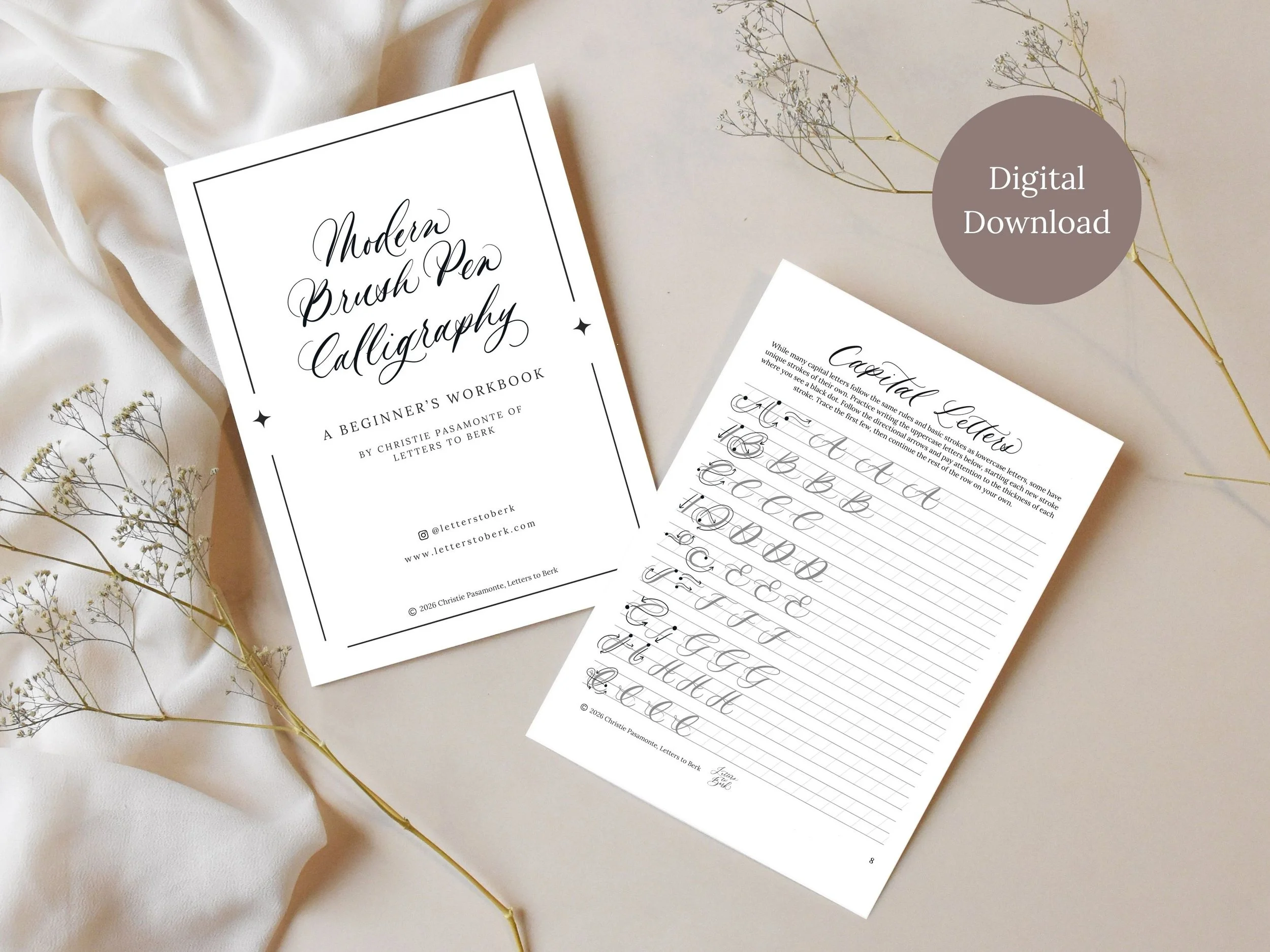 Modern Brush Calligraphy Beginner's Workbook