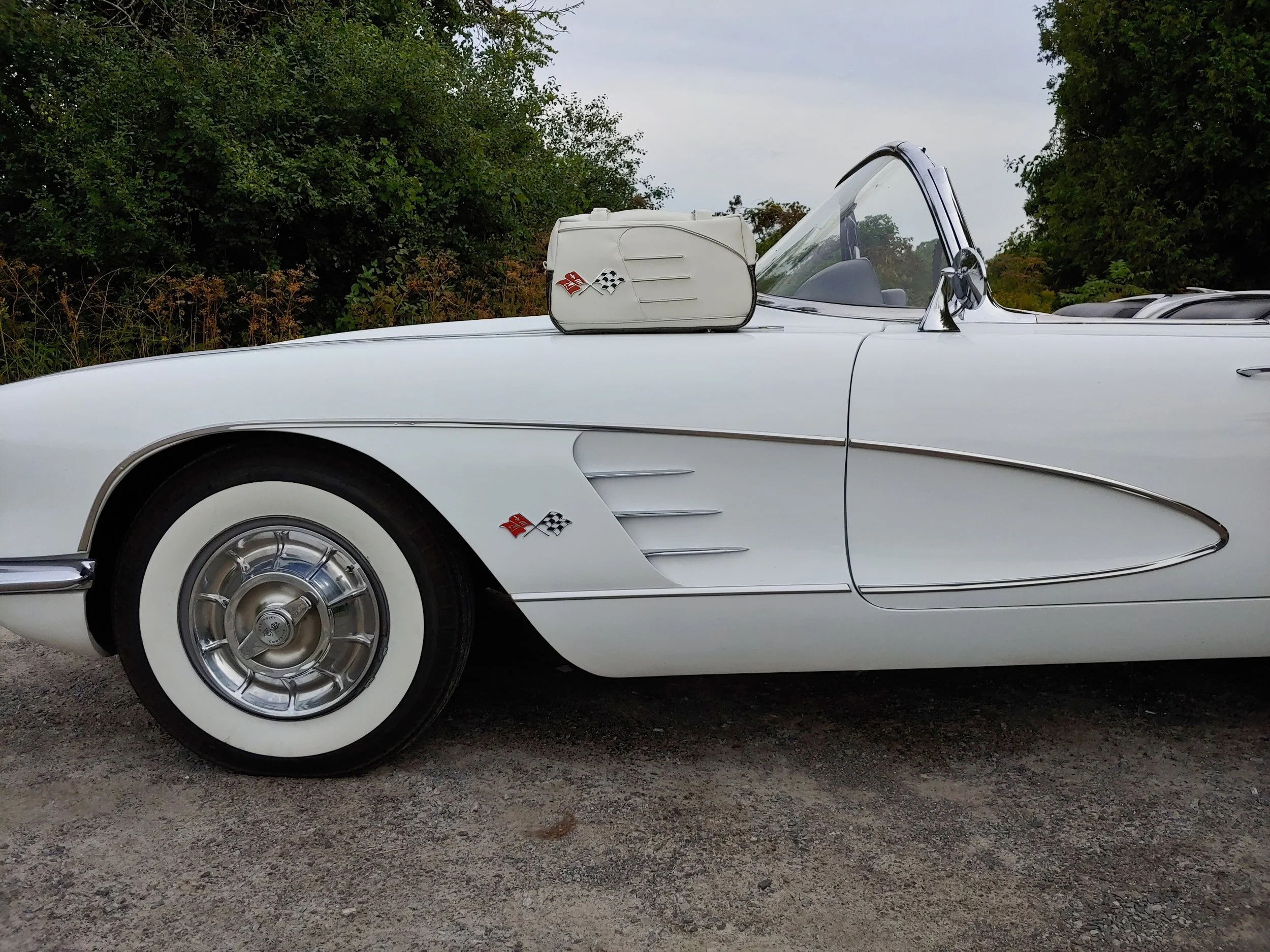 20250901_full cove.jpg