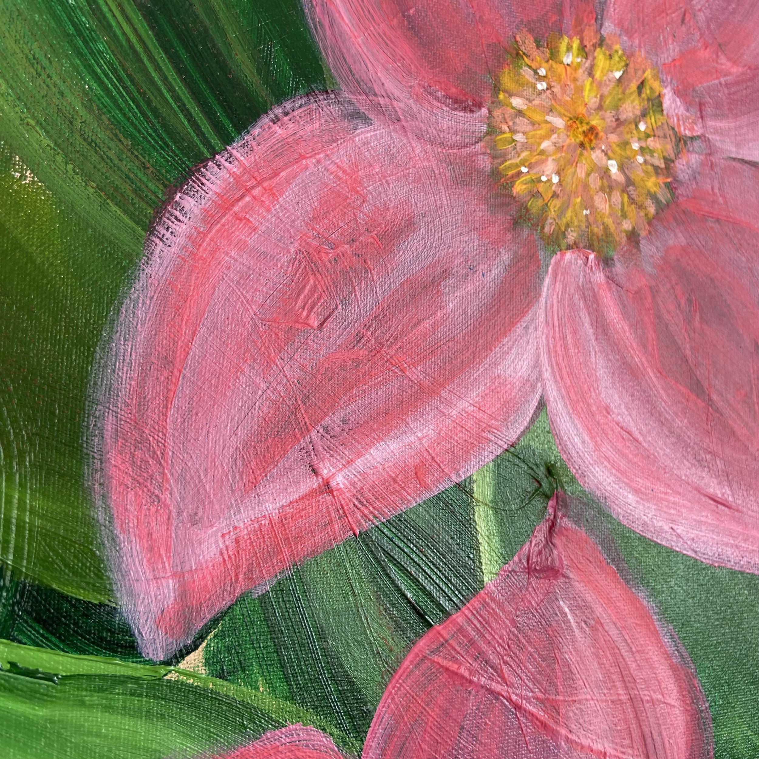 IMG_6738.jpg
