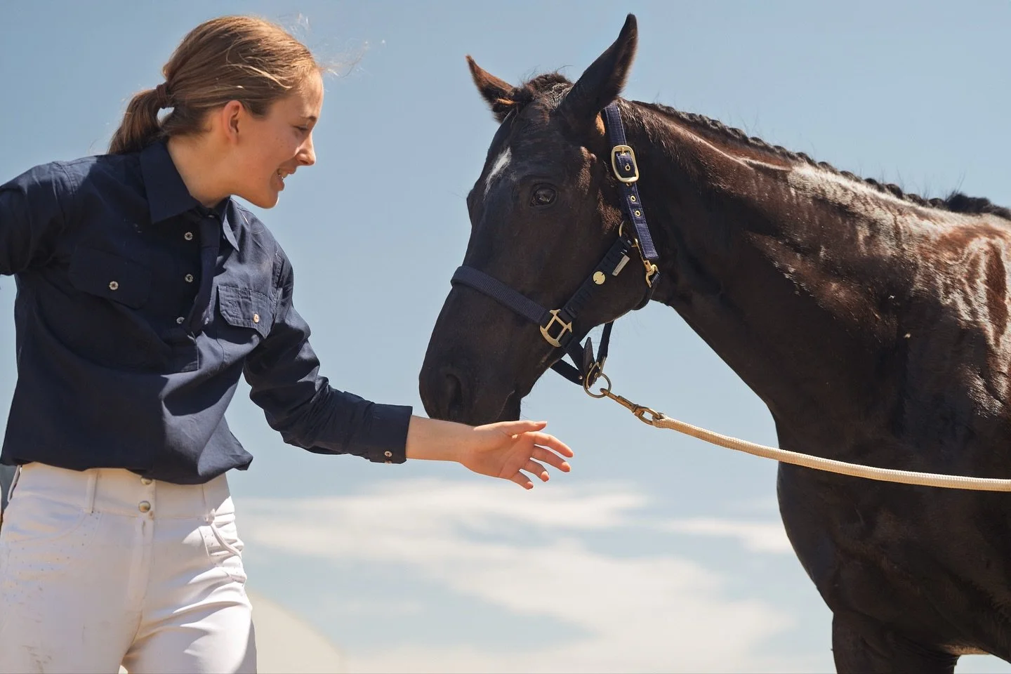 Stills from Friday&rsquo;s #ishe event at #aelectamworth Was there shooting video for an upcoming short documentary on retired racehorses.

#horse #horseeventing #tamworth #ott