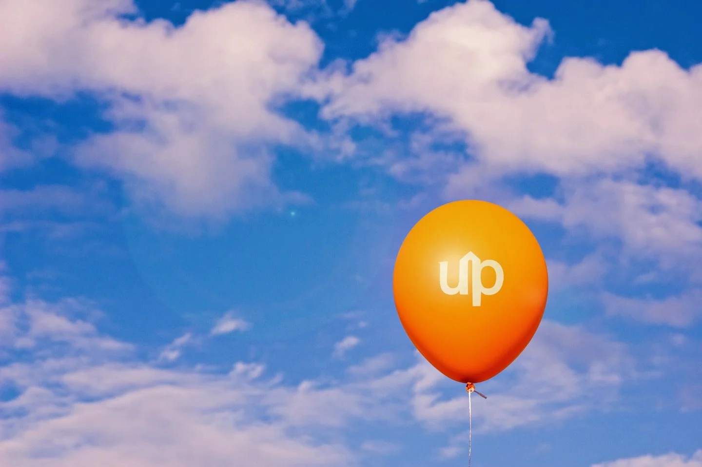 Latest brand project launching Friday #branding #graphicdesign