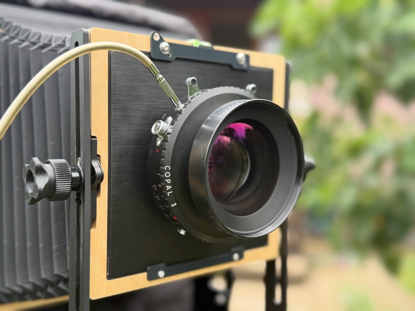 &hellip;and from the outside! 

#largeformatphotography #8x10 #8x10photography