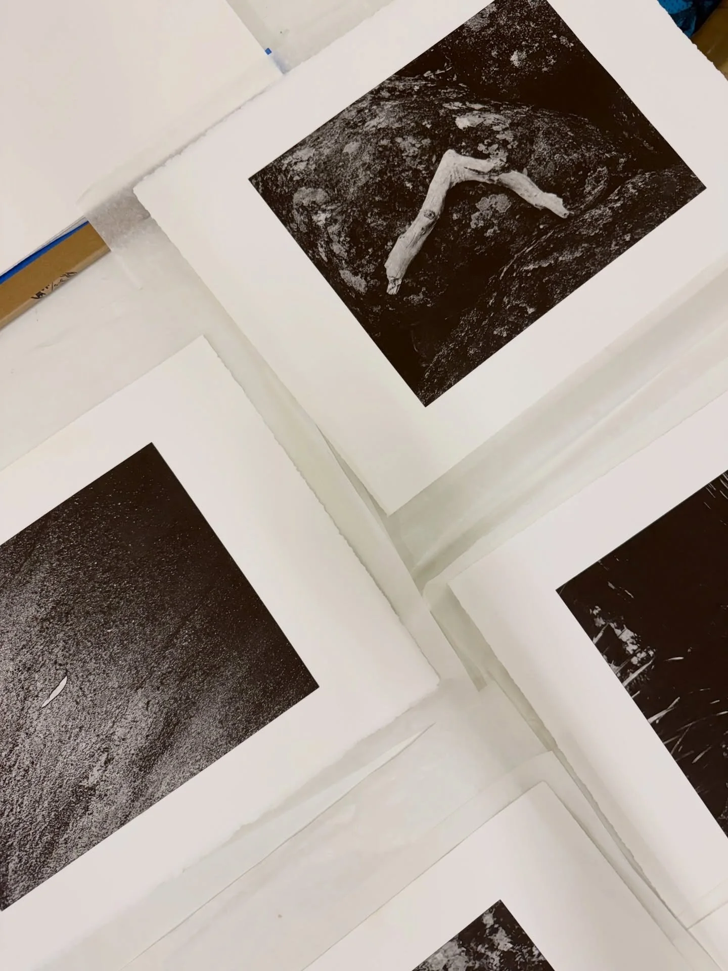 A work in progress shot of some prints hanging in the studio at MOP. These are a glimpse some of the collaborative pieces Beth and Eve have worked on for their upcoming show at NERAM, &lsquo;Traces&rsquo;.