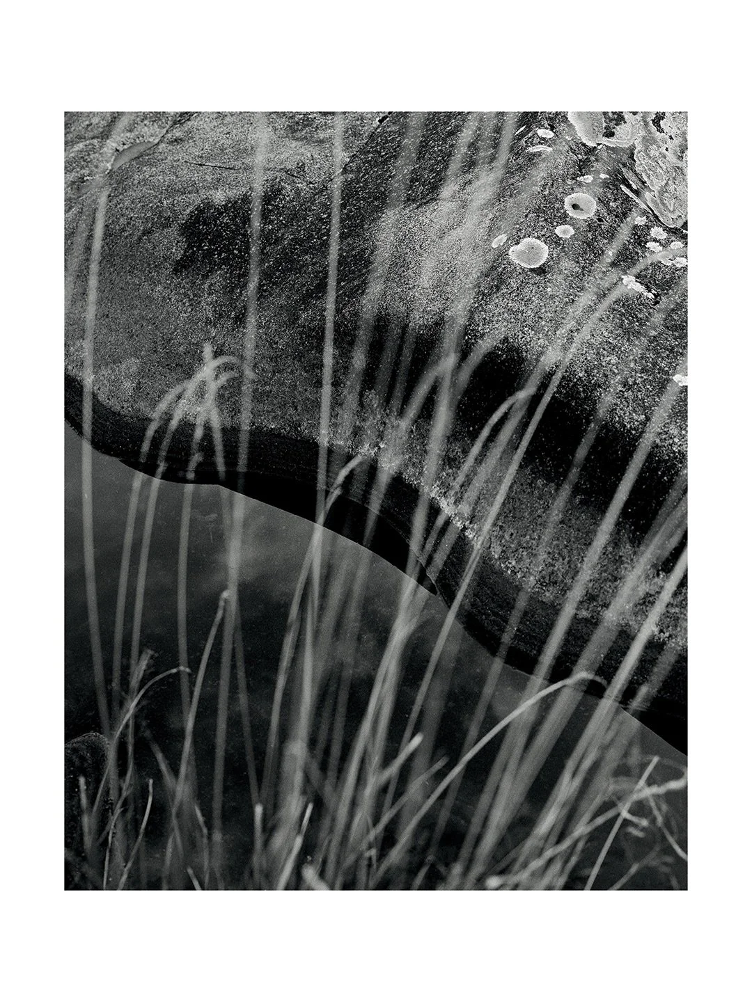 Packaging this work up to be donated for the Protected Area Workers Association Gala Night. If you&rsquo;re in Sydney be sure to grab a ticket - Peter Garrett will be there and is the keynote speaker + take part in the silent auction. The work PAWA d
