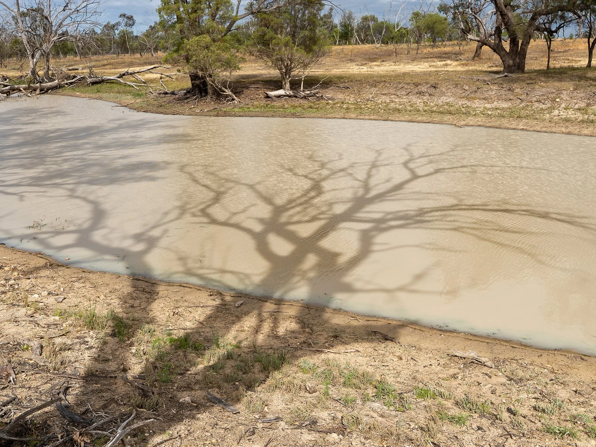 On country with Baggaaybidi Gali over the weekend near Collarenebri. Shooting video for an upcoming documentary on waterways assessment and management.

#ecology #waterislife #gamilaraaycountry #barwonriver