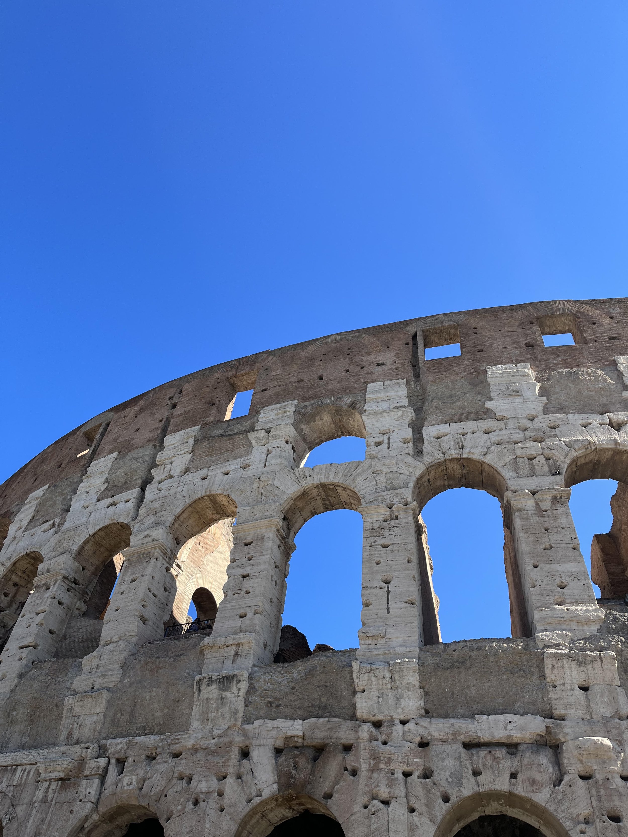 Small Rye Big World: Figuring it Out