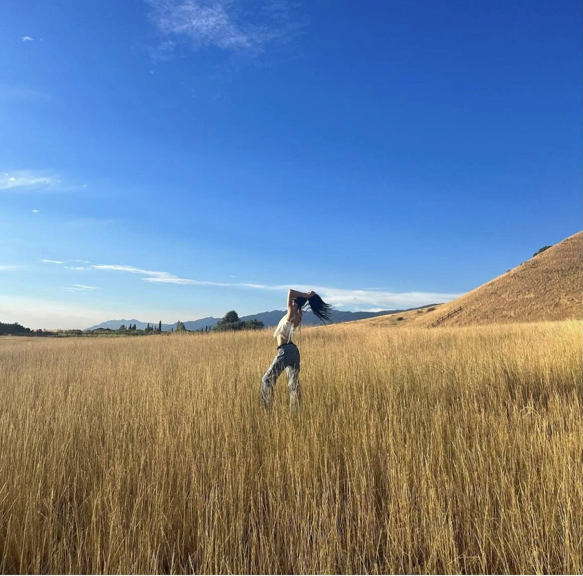 Who’s Your Blueprint?