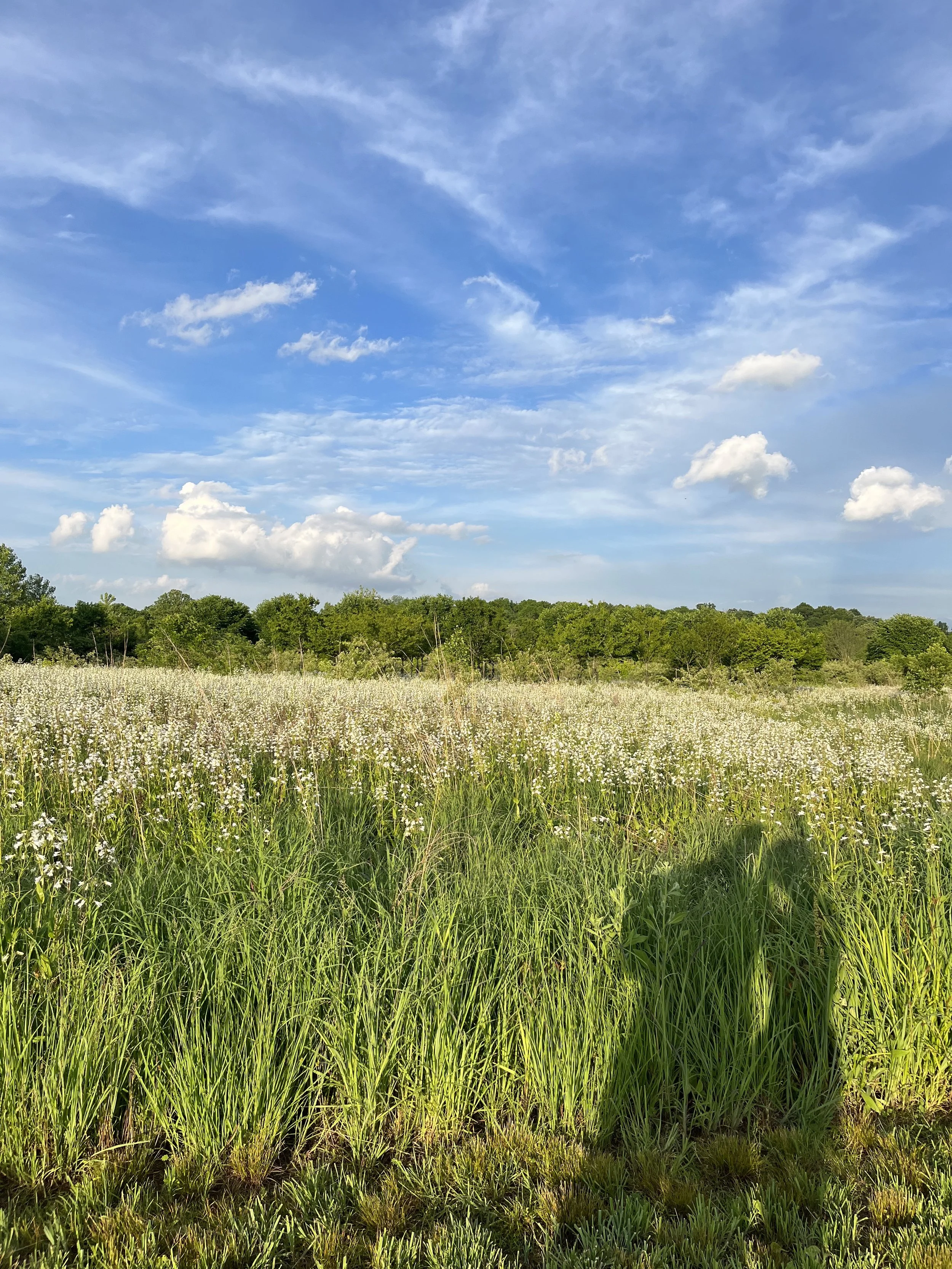 Getting Out of Your Hometown