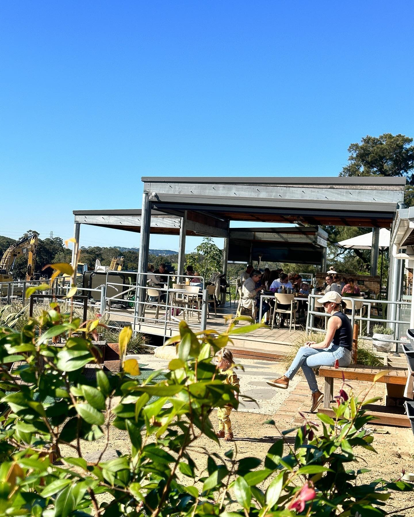 Clear sky, discovery garden playground for the kids, perfect coffee, mouthwatering freshly baked muffins , and breakfast that&rsquo;s a feast for your eyes .
See you @smithslndairy tomorrow 
Open 8am 
#breakfast #coffee #mountainside #playground #cou