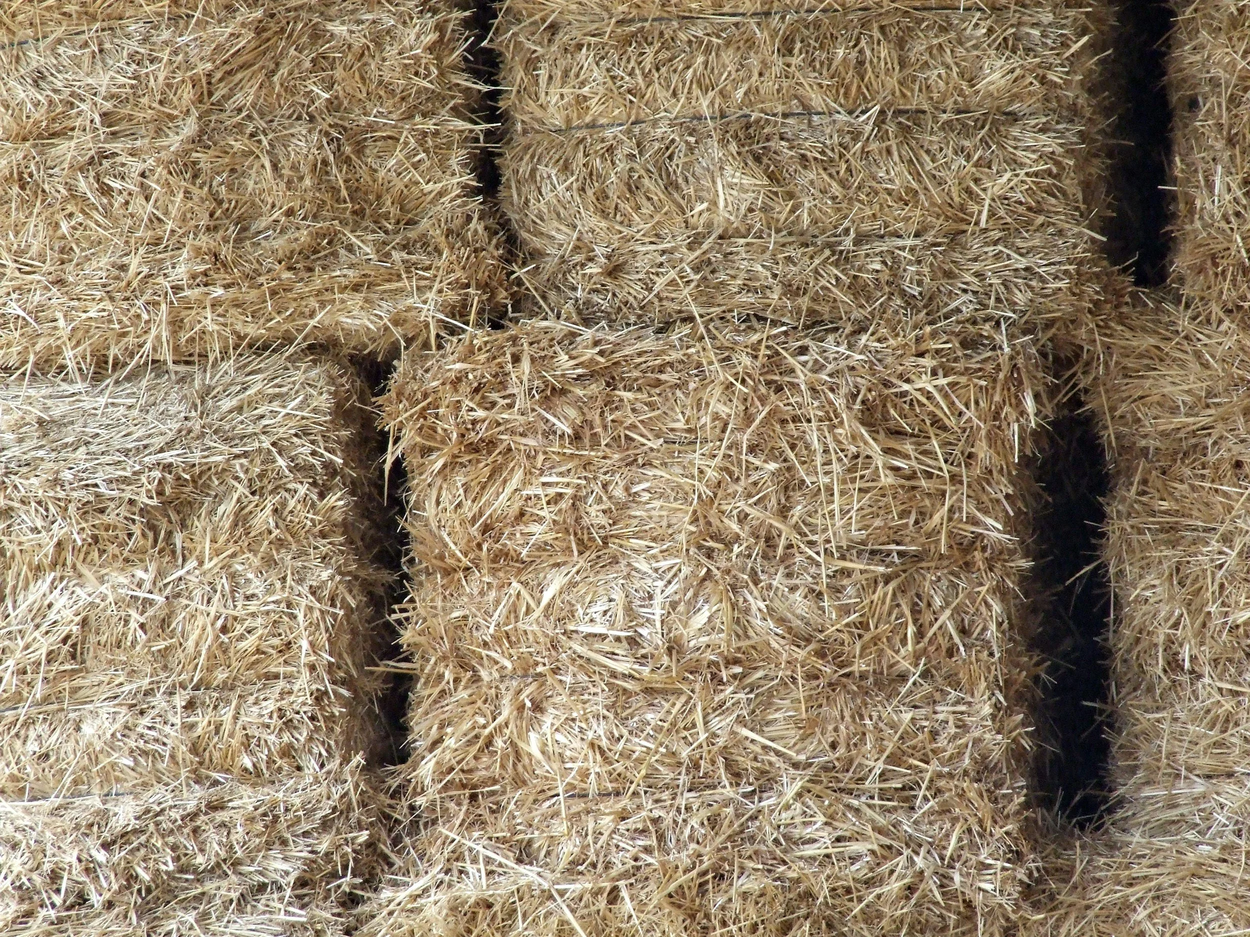 Matching hay to different species