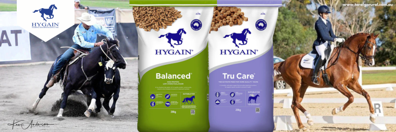 HYGAIN.png