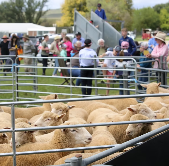Taralga Show