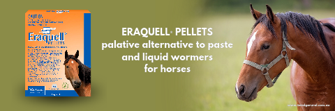 Eraquell.png