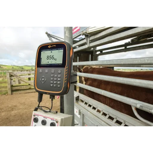 515Wx515H-webp-TW1-Scale-Crush-Hereford32.webp