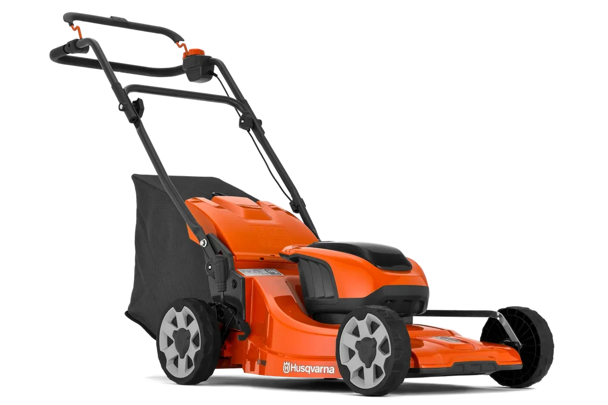 ox-239182.webp
