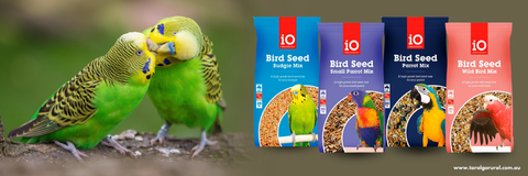 iO BIRD MIXES.png