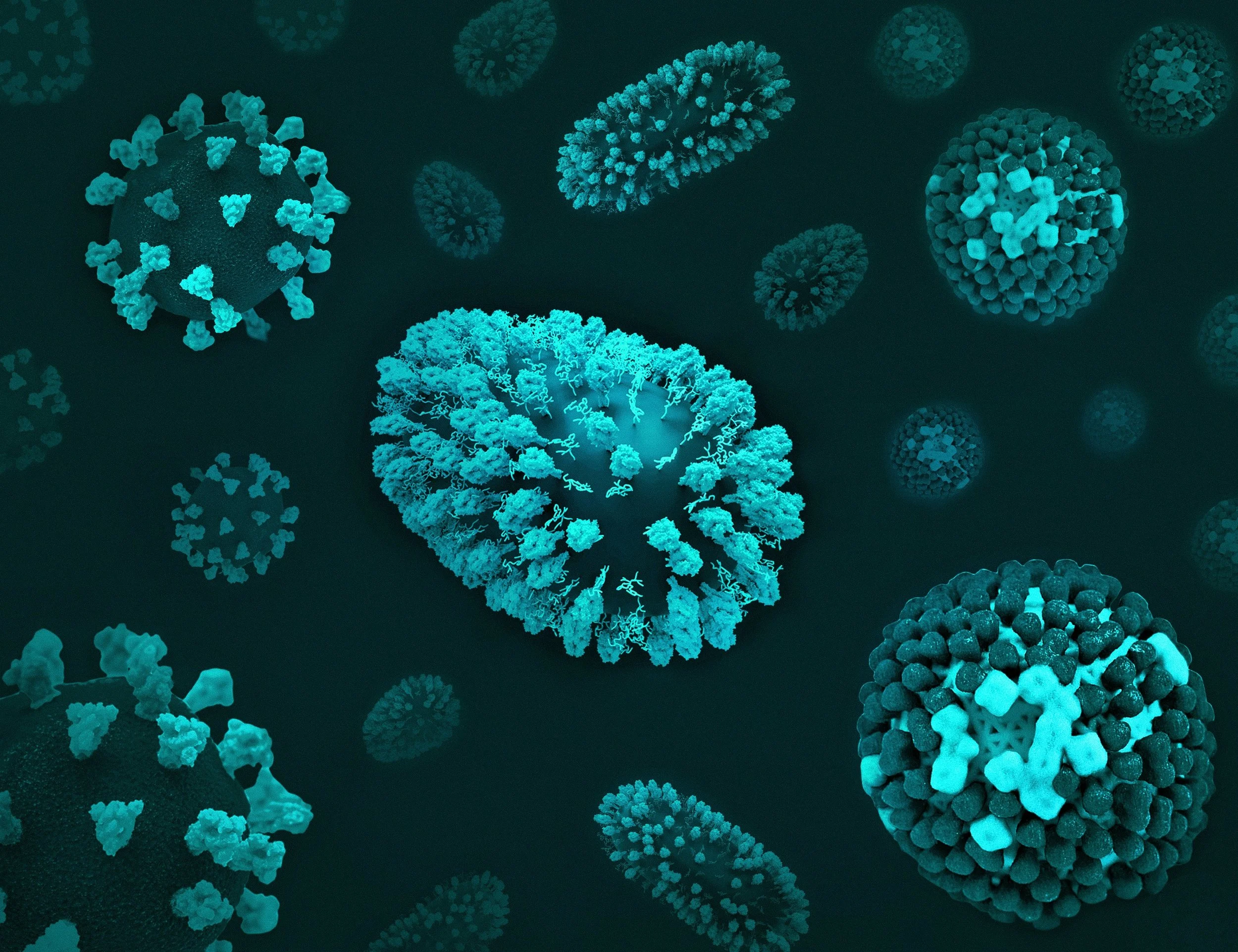 Post‑Exposure Prophylaxis: Mitoquinol as a Novel Defense Against COVID‑19&nbsp;