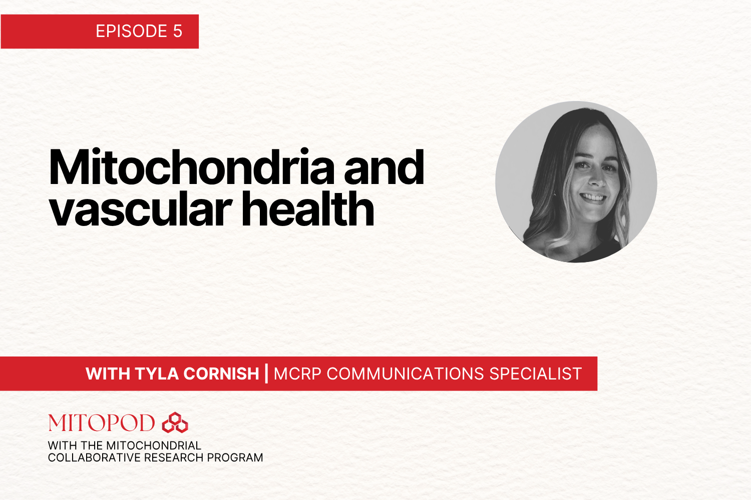 Mitochondria and Vascular Health