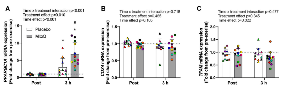 Boosting HIIT Performance: Mitoquinol as a Training Amplifier&nbsp;