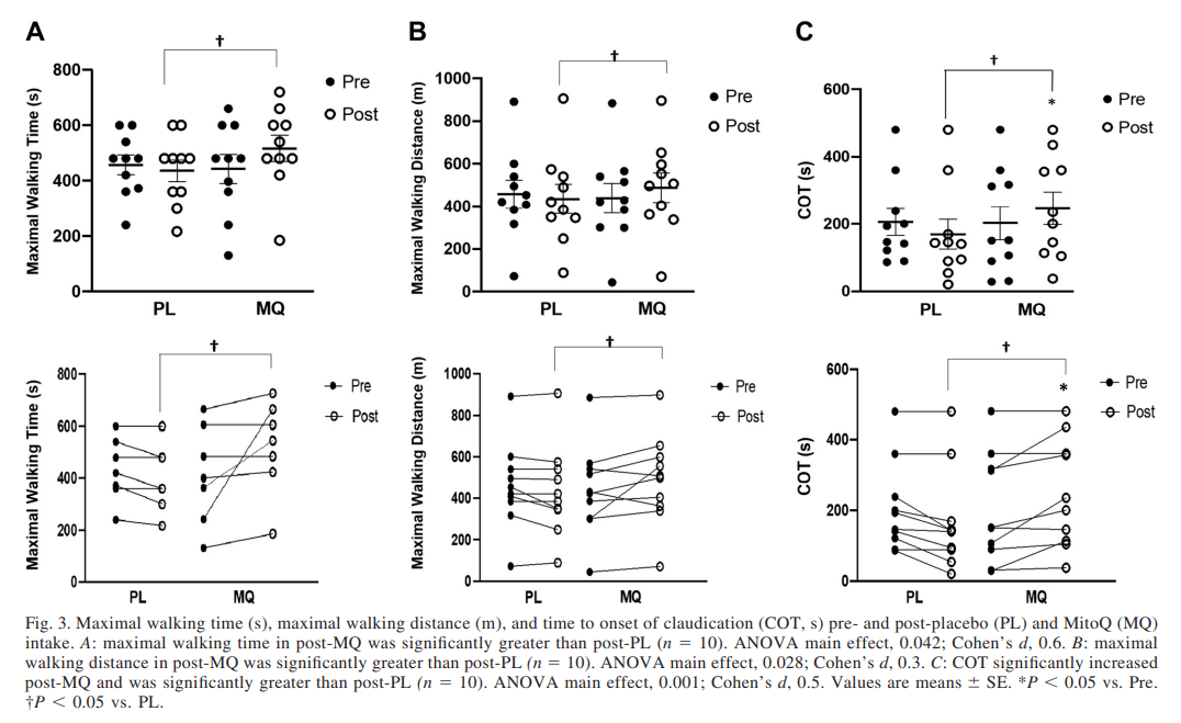Acute Functional Rescue: Can MitoQ Improve Mobility in Peripheral Artery Disease?