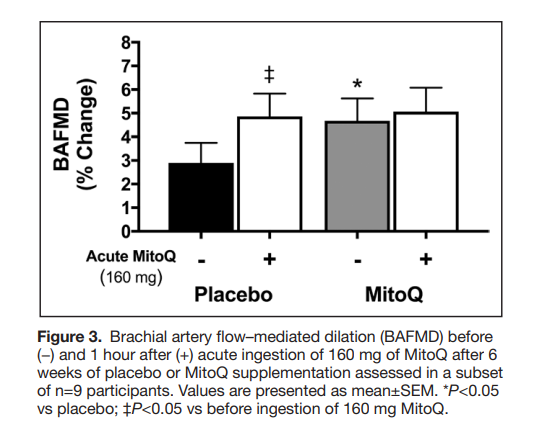 Can MitoQ Rejuvenate Vascular Function in Healthy Older Adults?
