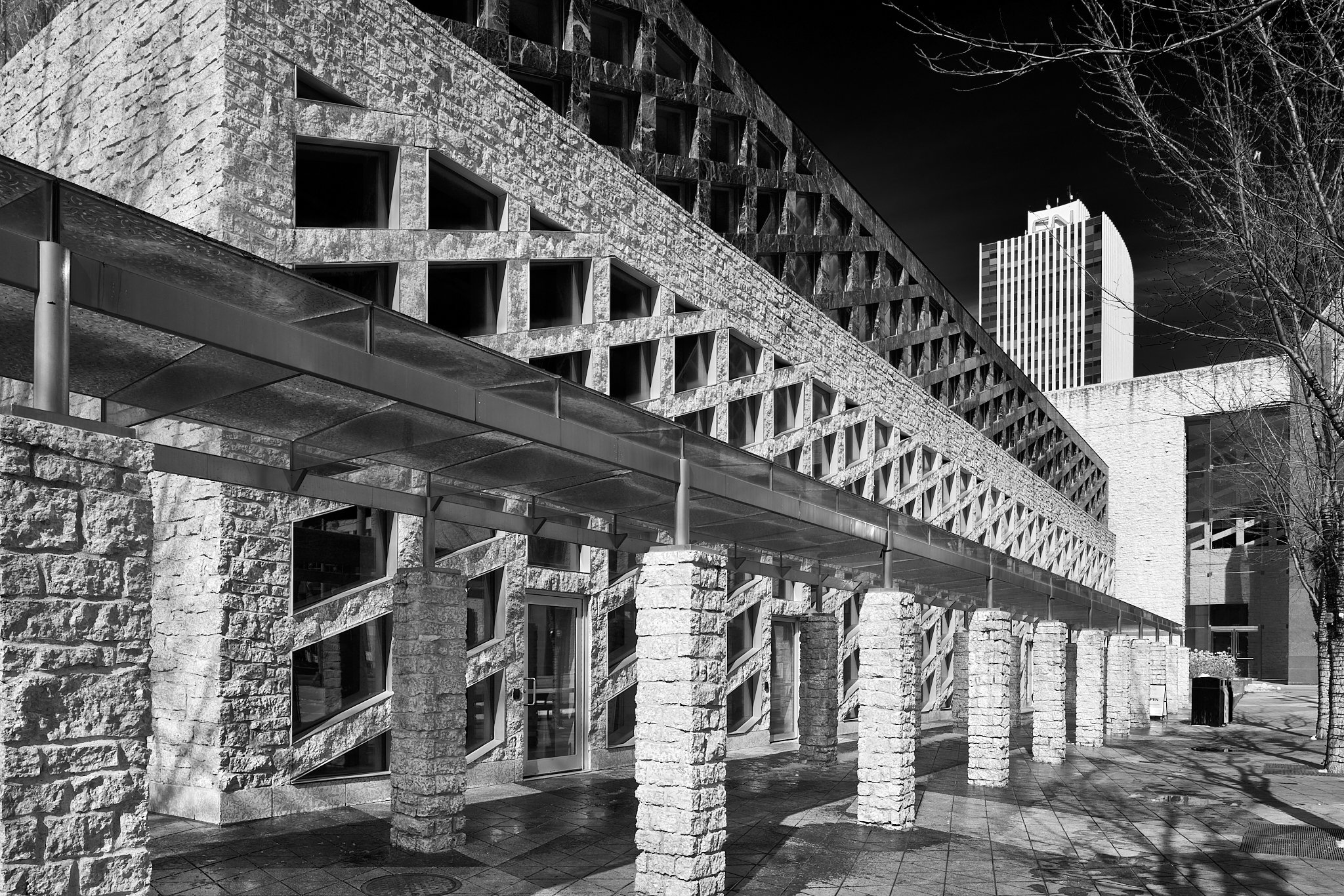 black-and-white-composition-edmonton-city-hall.jpg