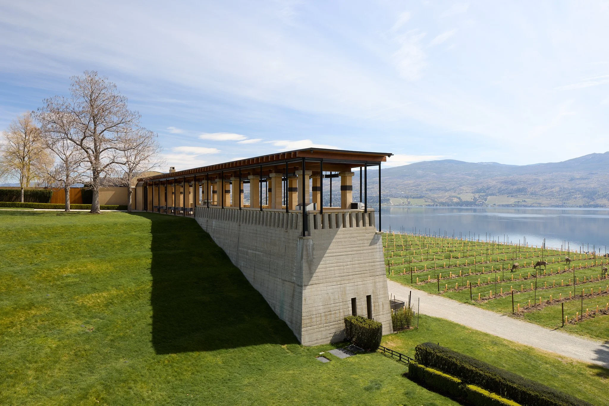 Mission Hill Family Estate | Architectural Study