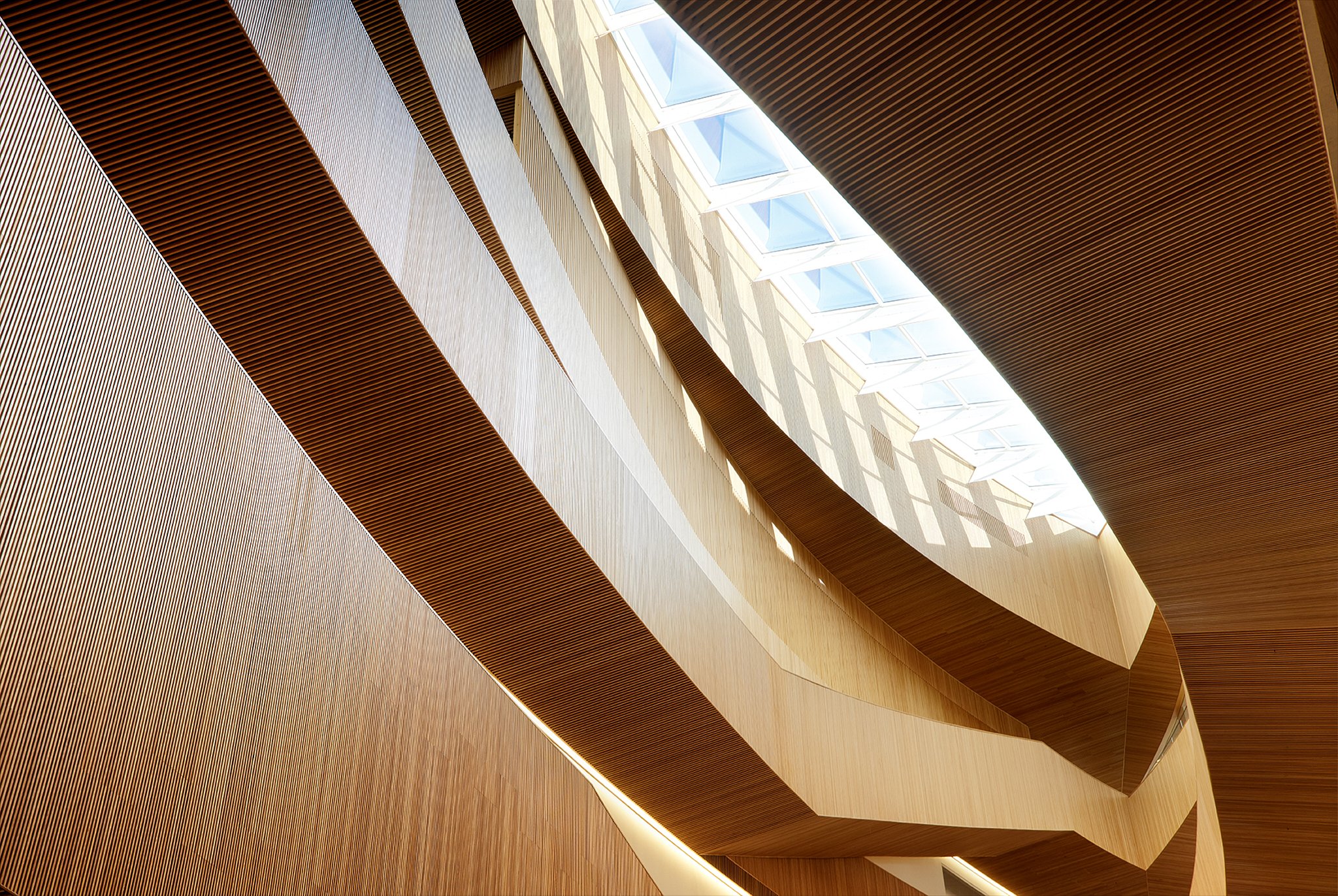 Interior view of a modern building showcasing curved wooden panels and a skylight with multiple square windows letting in natural light.