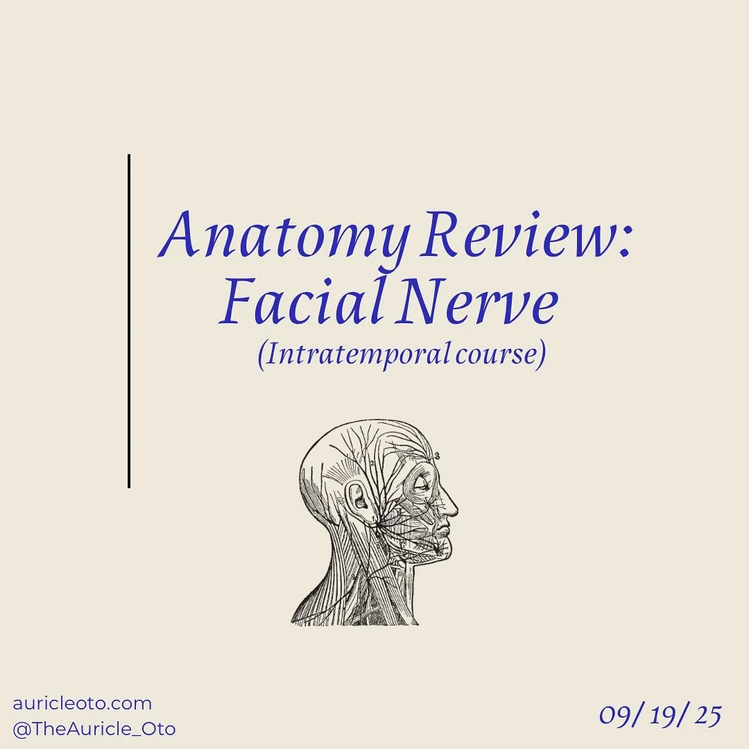 ⚡️Small nerve, big path through the temporal bone!
The facial nerve (CN VII) has one of the most intricate routes in the skull. 💀
Through the temporal bone, it gives off key branches for taste, hearing modulation, and parasympathetics, before emer