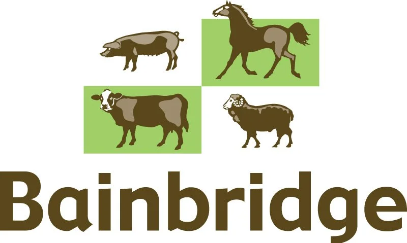 Bainbridge.jpg