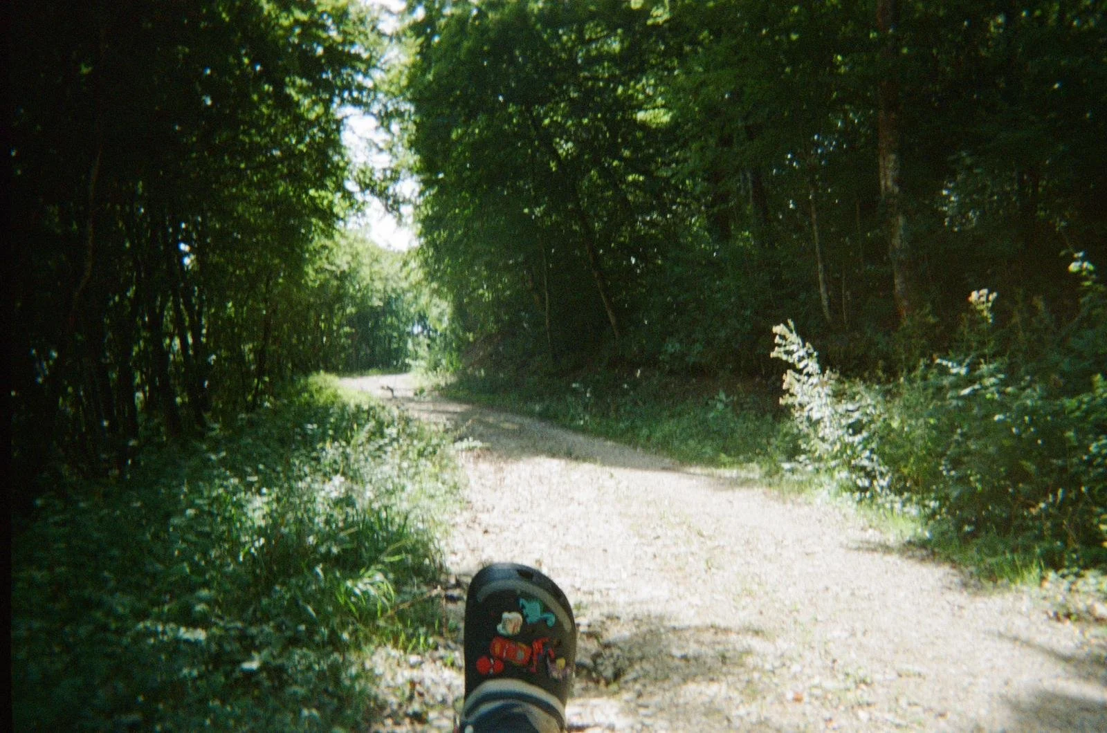 WhatsApp Image 2025-10-19 at 3.19.36 PM (1).jpeg