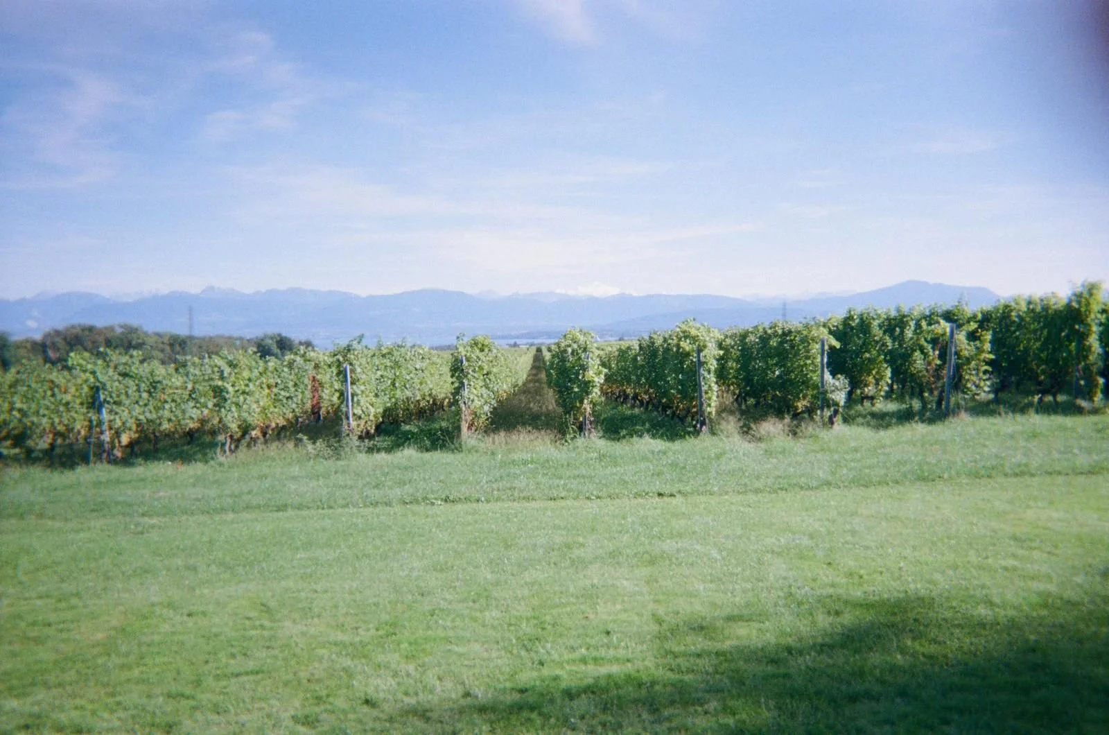 WhatsApp Image 2025-10-23 at 3.29.52 PM (5).jpeg