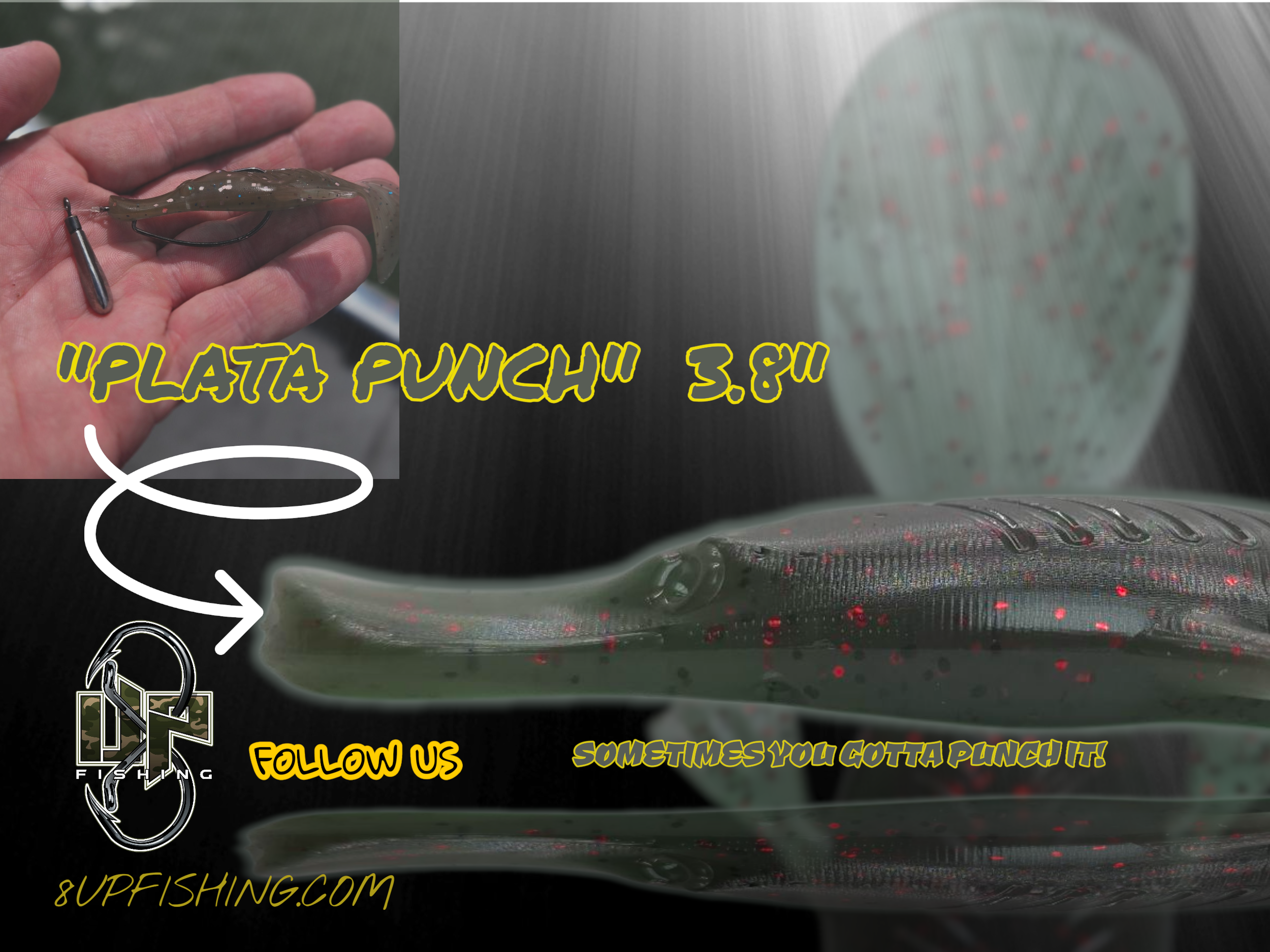 PLATA PUCH INTRO-Photoroom.png