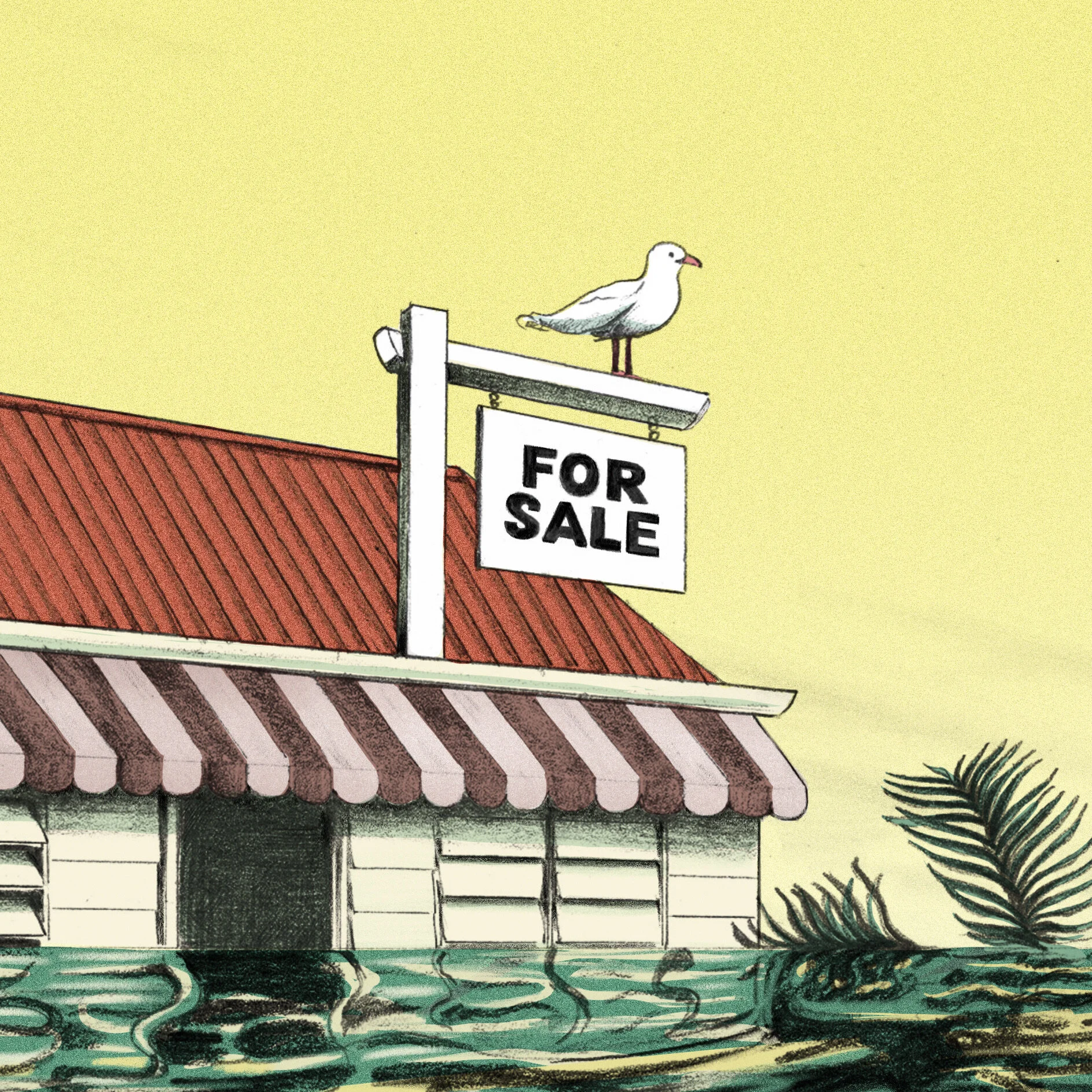 "Beautiful One Day, Uninsurable The Next" ABC, 2021