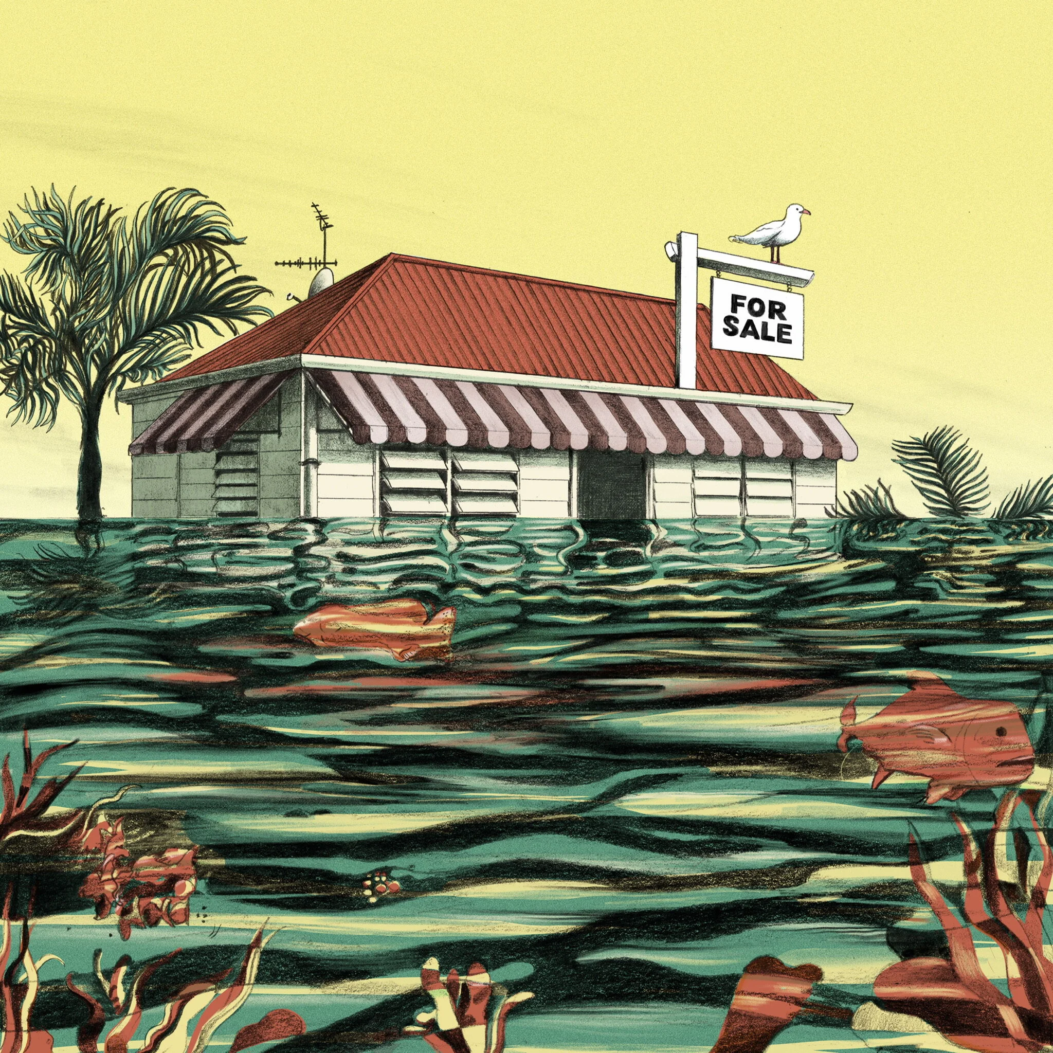 "Beautiful One Day, Uninsurable The Next" ABC, 2021