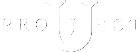 Working on Project U