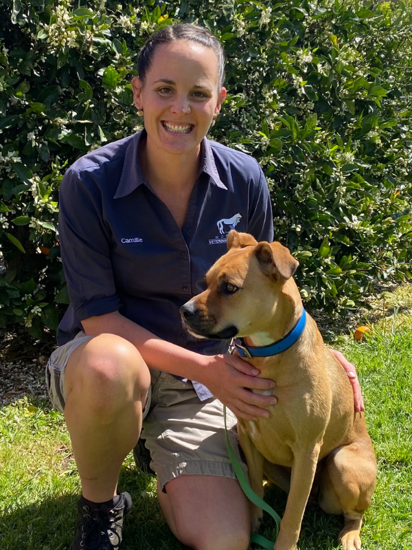 Team — Moruya Veterinary Hospital