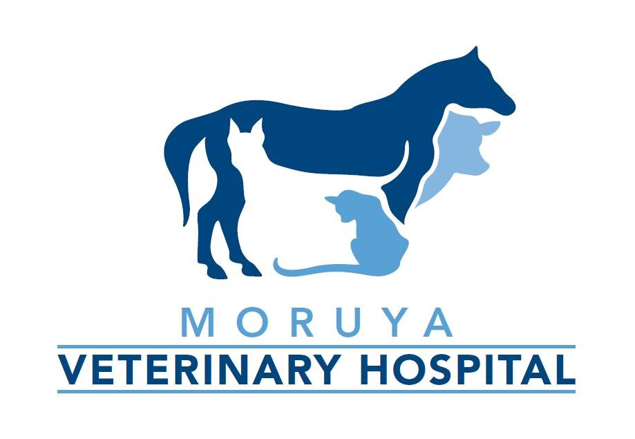 Moruya Veterinary Hospital