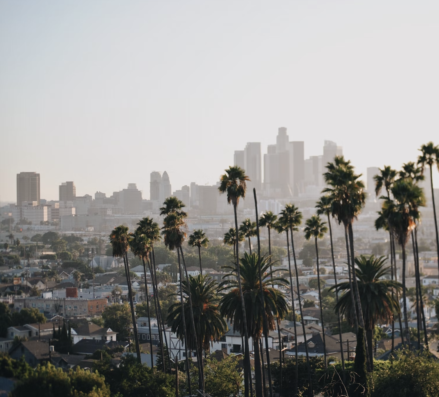 Area Youth Ministry area-youth-ministry