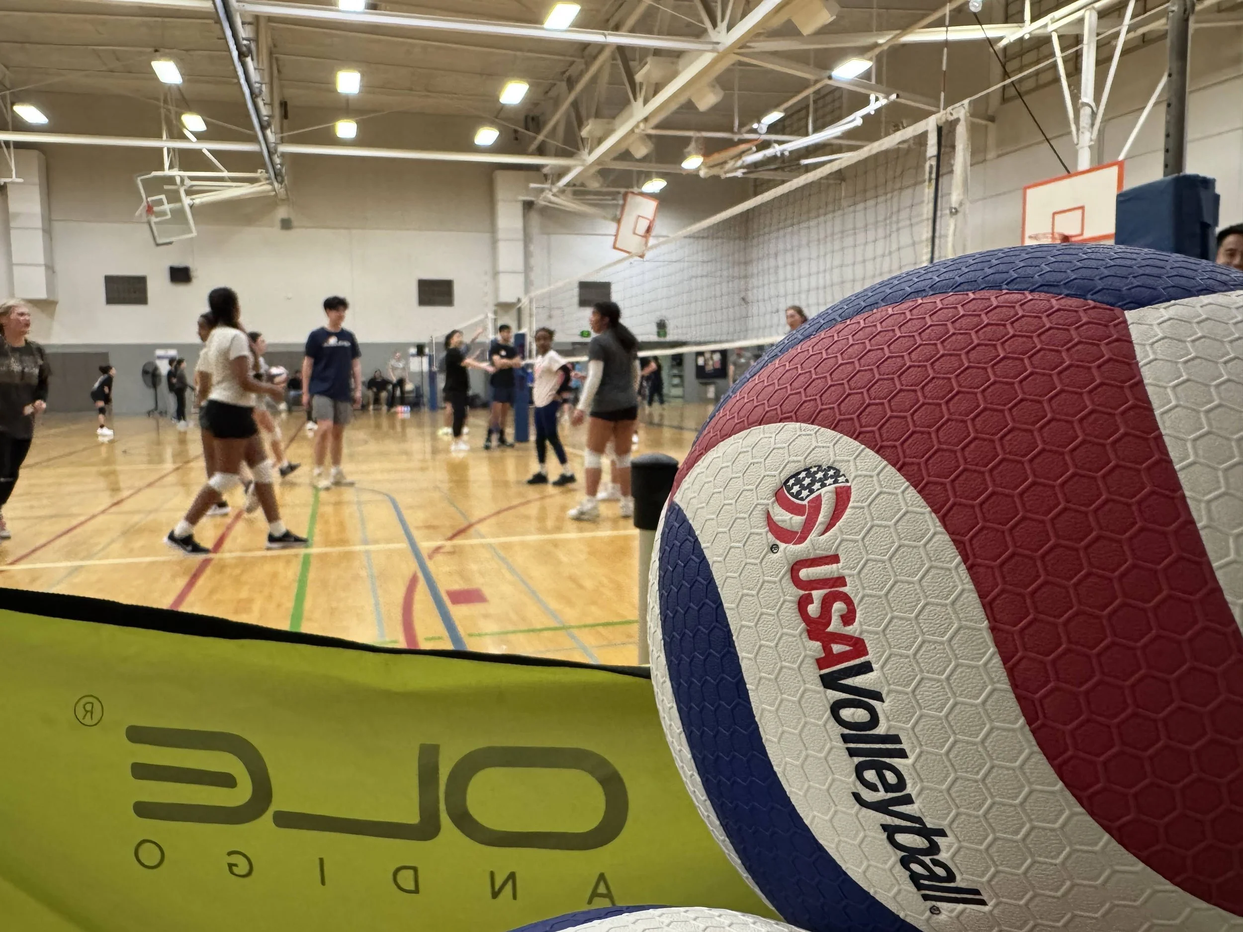 AVC #1